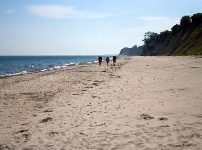 Camønovandring langs stranden